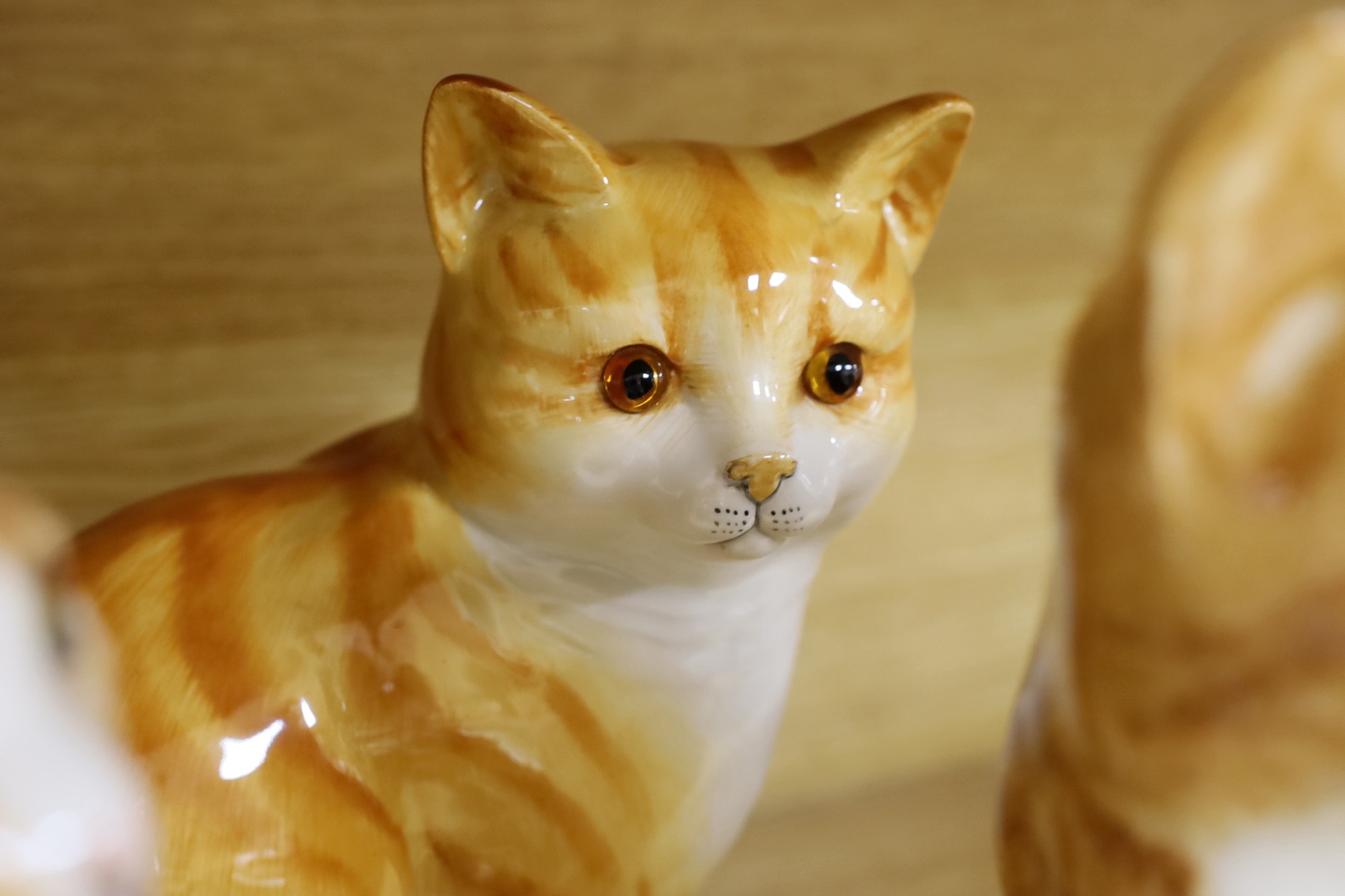 Three large Winstanley pottery models of cats, size 5 and 6, two similar size 4 cats and a Just Cats & Co. Staffordshire cat, 31cm